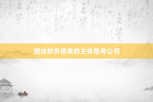 团结财务报表的主体是母公司